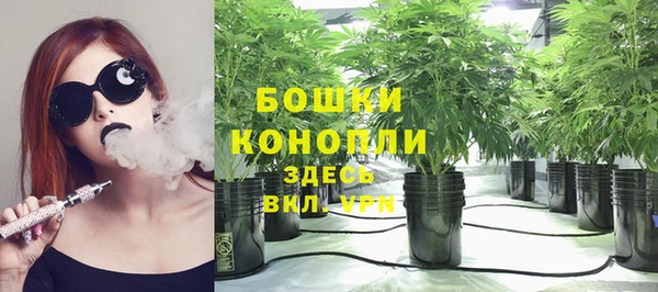 дживик Баксан