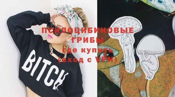 дживик Баксан