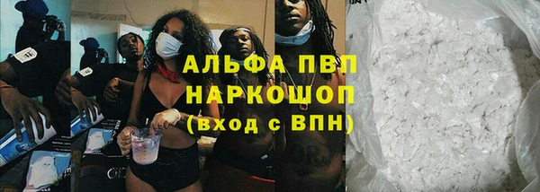 дживик Баксан